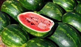 大瓜吃瓜素材下载视频免费,轻松制作热门视频