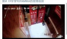 博主自己爆料自己的视频